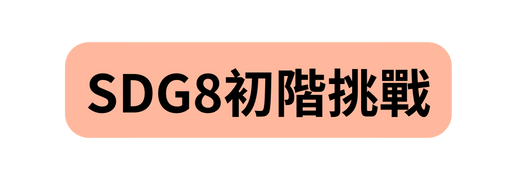 SDG8初階挑戰