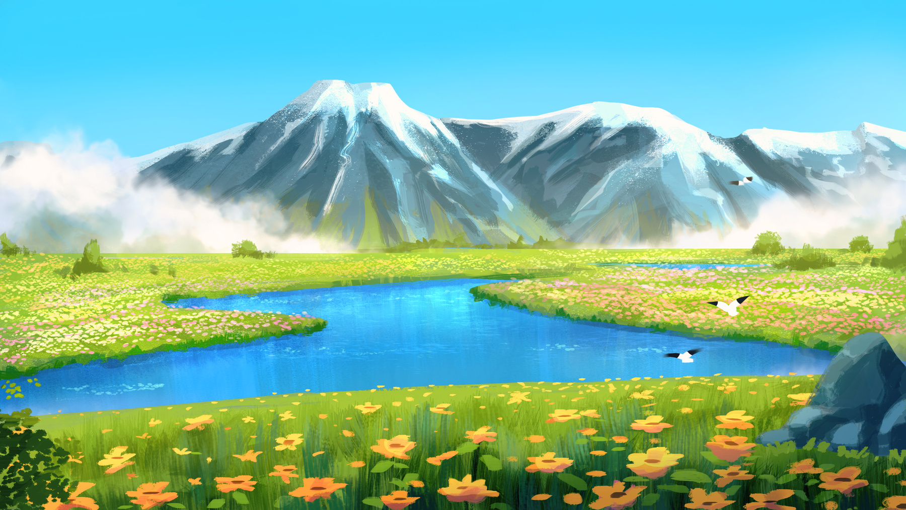 Landscape with Flowers Field Background