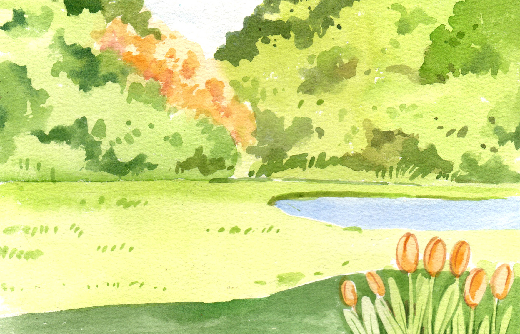 Landscape Nature View,Watercolor  Background