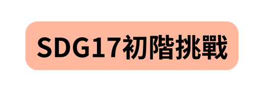 SDG17初階挑戰